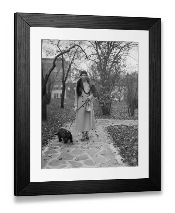 Framed Print : Eleanor Roosevelt Walking Her Scottish Terrier Framed Print : Eleanor Roosevelt Walking Her Scottish Terrier
