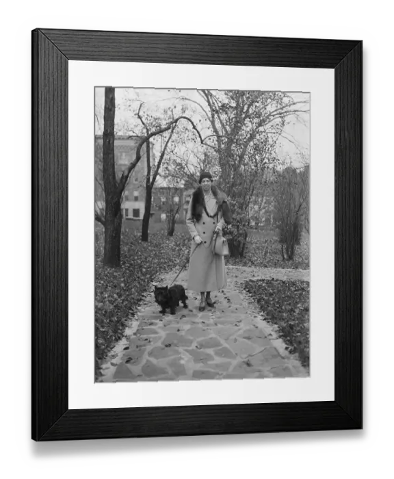 Framed Print : Eleanor Roosevelt Walking Black Terrier Framed Print : Eleanor Roosevelt Walking Black Terrier