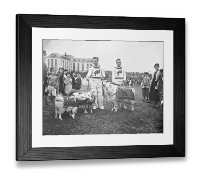 Framed Print : Football Players with Their Navy Mascot Goat Framed Print : Football Players with Their Navy Mascot Goat