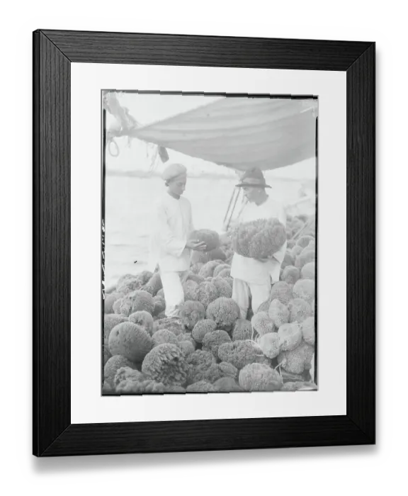 Framed Print : Fishermen Examining Sponges