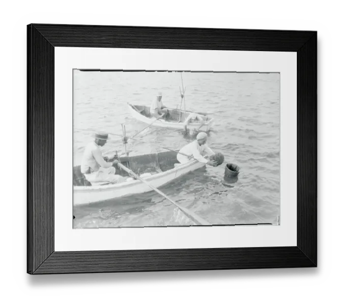 Framed Print : Fisherman Examining Sponge Framed Print : Fisherman Examining Sponge