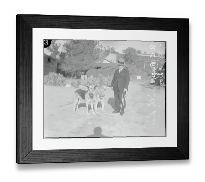 Framed Print : Animal Garden President with Animal Oddities Framed Print : Animal Garden President with Animal Oddities