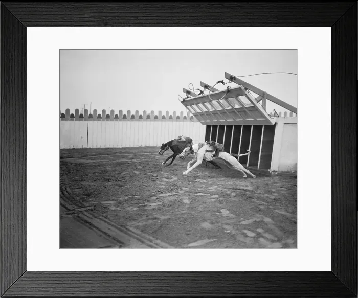 Framed Print : Dogs Racing with Monkeys on Their Backs