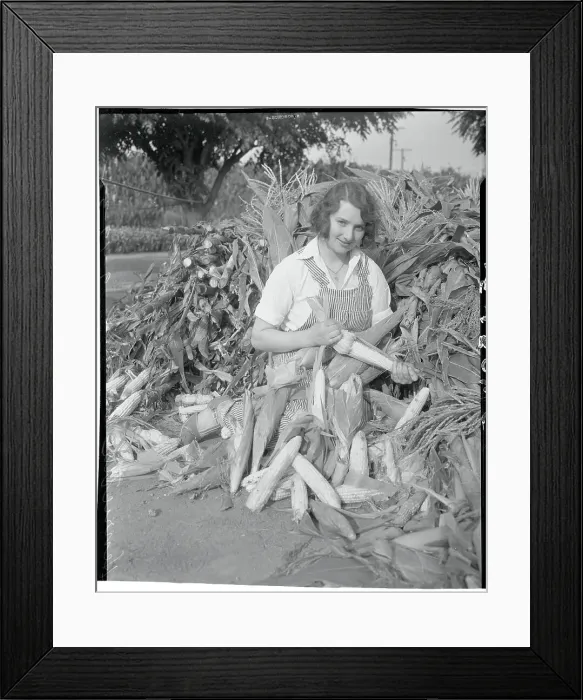 Framed Print : Winning Farmette Stripping Corn Framed Print : Winning Farmette Stripping Corn