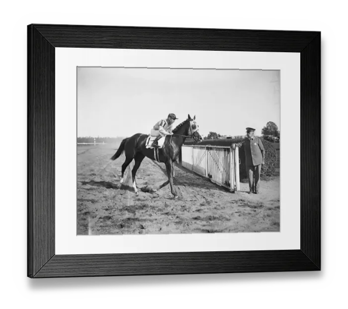 Framed Print : Jockey Sonny Workman Riding Top Flight After a Win Framed Print : Jockey Sonny Workman Riding Top Flight After a Win