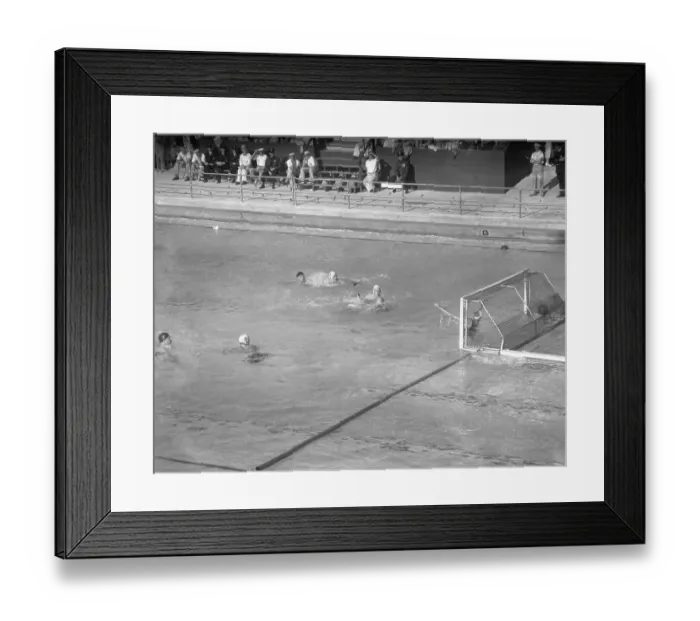 Framed Print : Water Polo Score Framed Print : Water Polo Score