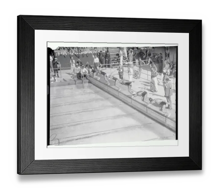 Framed Print : Olympic Swimmers Diving into Pool Framed Print : Olympic Swimmers Diving into Pool