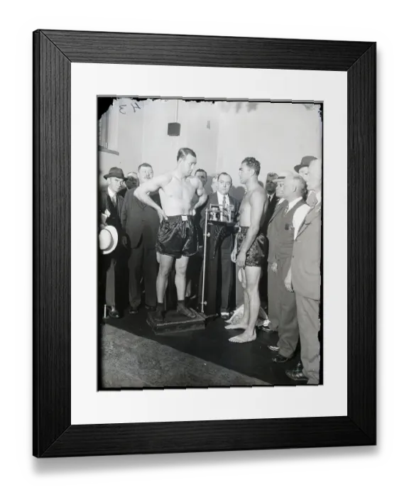 Framed Print : Jack Sharkey Weighing In W / Max Schmeling