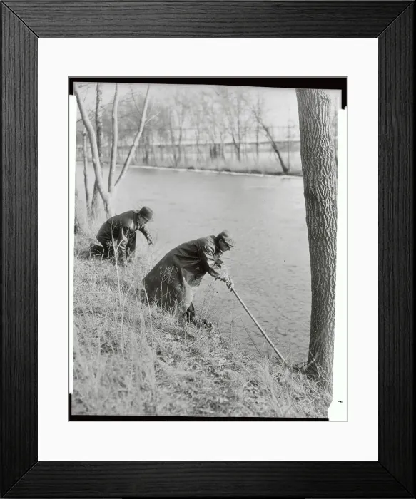 Framed Print : Fishermen Dragging River Edge Framed Print : Fishermen Dragging River Edge