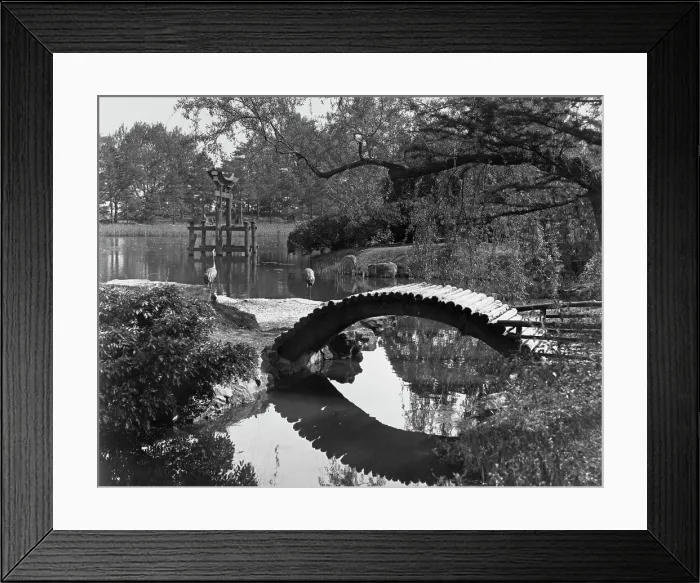 Framed Print : Brooklyn Botanic Garden, New York City Framed Print : Brooklyn Botanic Garden, New York City
