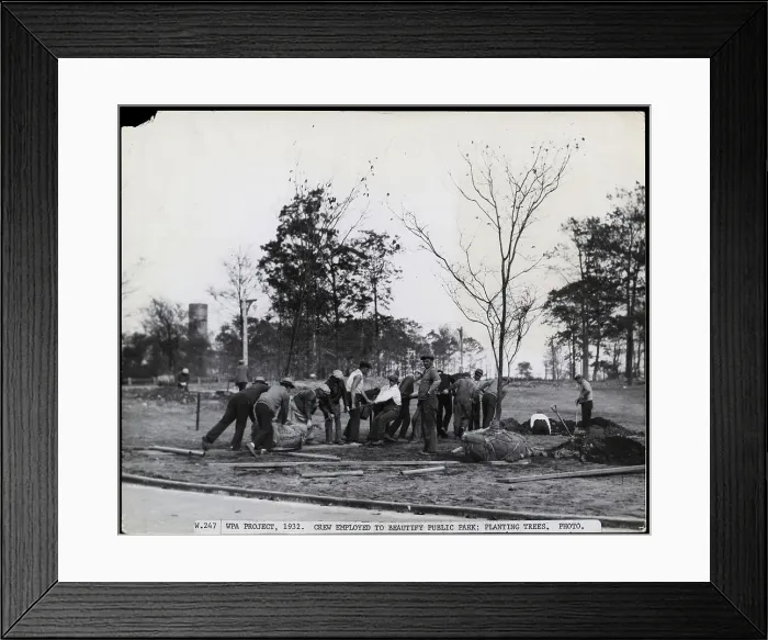 Framed Print : Crew Of Men Planting Trees Framed Print : Crew Of Men Planting Trees