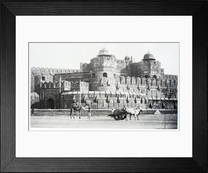 Framed Print : Delhi Gate Fort Framed Print : Delhi Gate Fort
