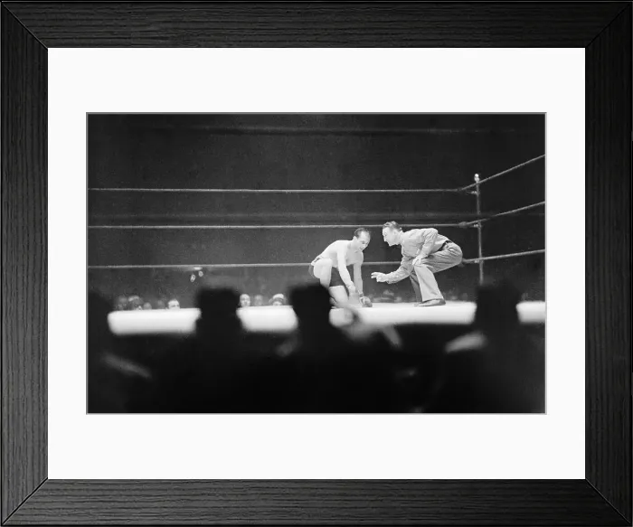 Framed Print : Referee Counting During Fight Framed Print : Referee Counting During Fight