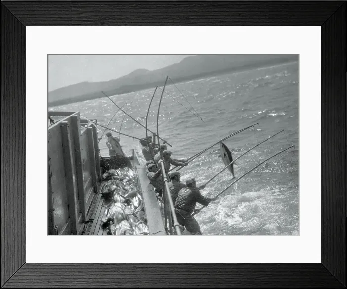 Framed Print : Tuna Fishing off Mexican Coast Framed Print : Tuna Fishing off Mexican Coast