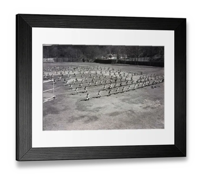 Framed Print : School Taking Setting-Up Excercises Framed Print : School Taking Setting-Up Excercises