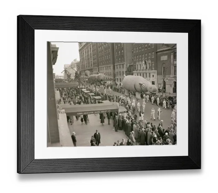 Framed Print : Hippo Balloon in Macy's Thanksgiving Parade Framed Print : Hippo Balloon in Macy's Thanksgiving Parade