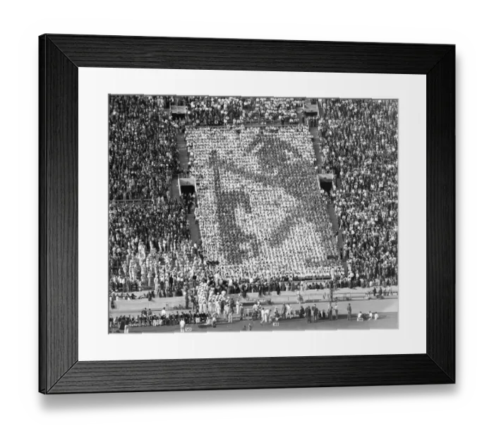 Framed Print : Usc Fans Make A Statement Framed Print : Usc Fans Make A Statement