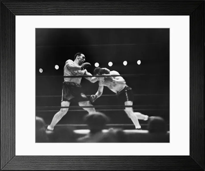 Framed Print : Primo Carnera Lands A Punch On Jack Shar Framed Print : Primo Carnera Lands A Punch On Jack Shar