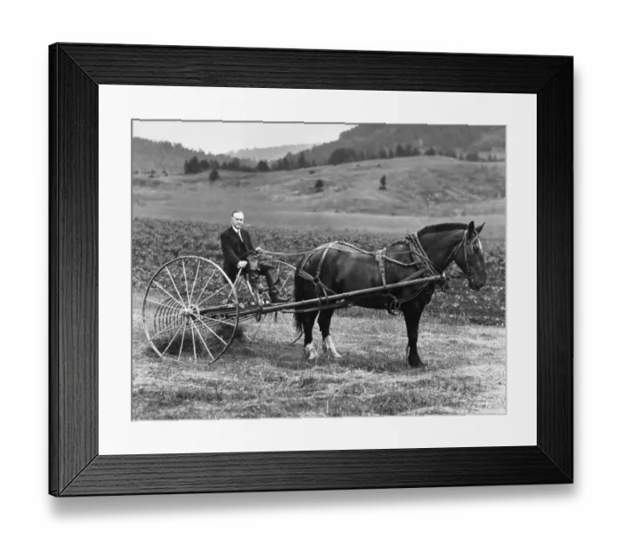 Framed Print : Former President Coolidge on Farm Framed Print : Former President Coolidge on Farm