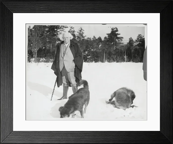 Framed Print : David Lloyd George with His Dogs Framed Print : David Lloyd George with His Dogs