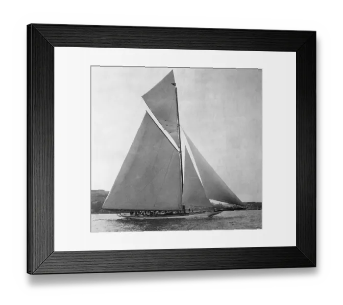 Framed Print : Shamrock IV Sailing Framed Print : Shamrock IV Sailing
