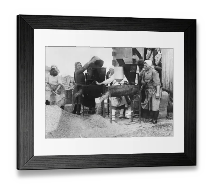 Framed Print : Women Use Modern Machinery to Clean Grain Framed Print : Women Use Modern Machinery to Clean Grain