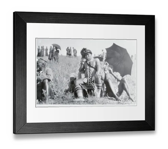 Framed Print : Zulu King with Others Framed Print : Zulu King with Others