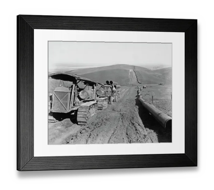 Framed Print : Caterpillar At Work