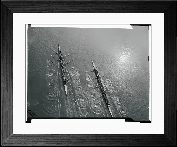 Framed Print : College Rowing Teams Competing on Calm Water Framed Print : College Rowing Teams Competing on Calm Water
