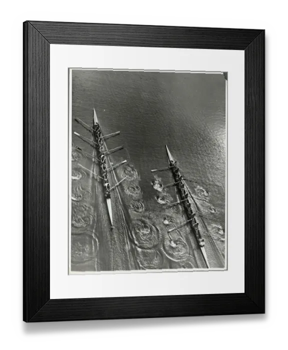 Framed Print : College Rowing Teams in Action