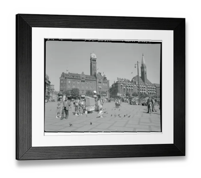 Framed Print : Pigeons and Pedestrians Across from Palace Hotel Framed Print : Pigeons and Pedestrians Across from Palace Hotel
