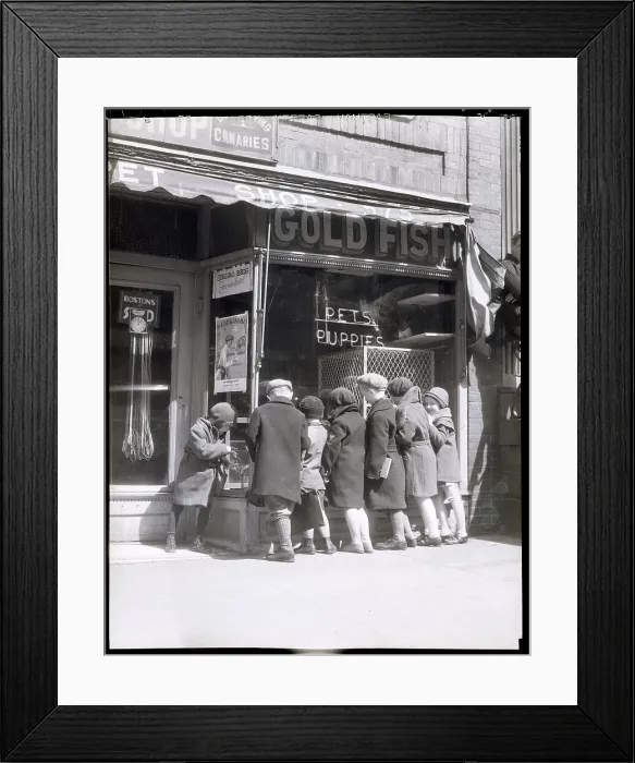 Framed Print : Children Looking into a Pet Shop Window Framed Print : Children Looking into a Pet Shop Window