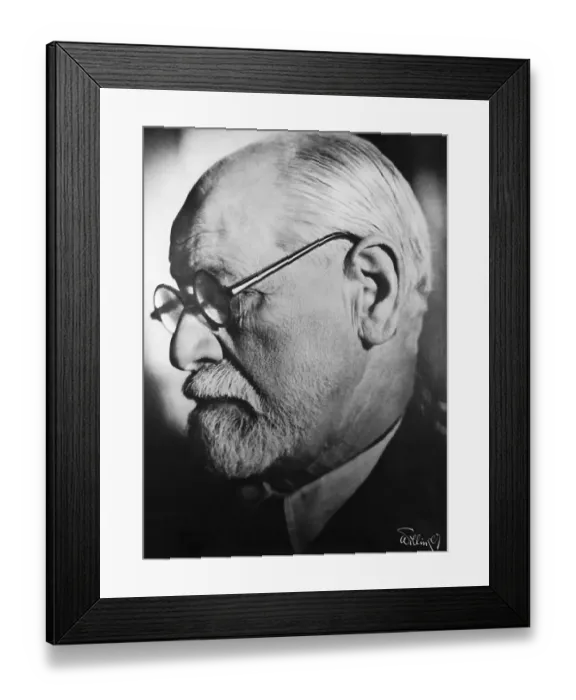 Framed Print : Sigmund Freud Framed Print : Sigmund Freud