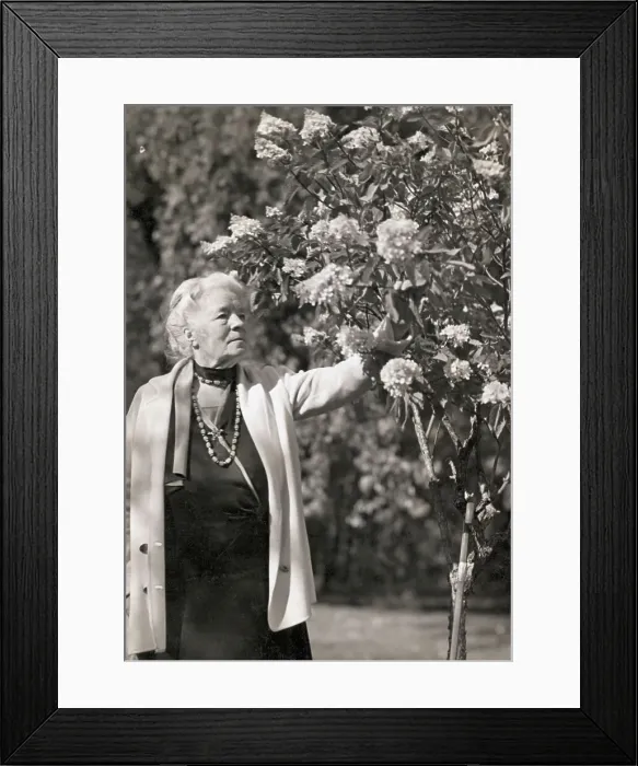 Framed Print : Selma Lagerlof Picking Flowers Framed Print : Selma Lagerlof Picking Flowers