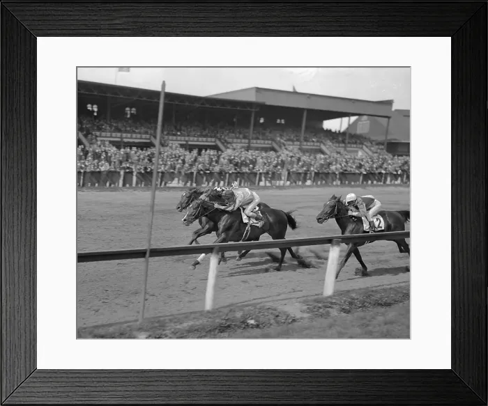 Framed Print : Seabiscuit in Pack at Aqueduct Racetrack Framed Print : Seabiscuit in Pack at Aqueduct Racetrack