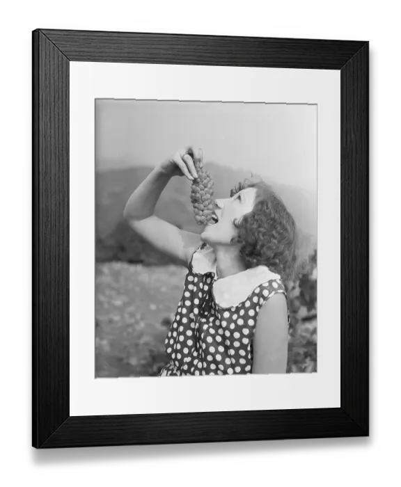 Framed Print : Vineyard Festival Participant Eating Grapes Framed Print : Vineyard Festival Participant Eating Grapes
