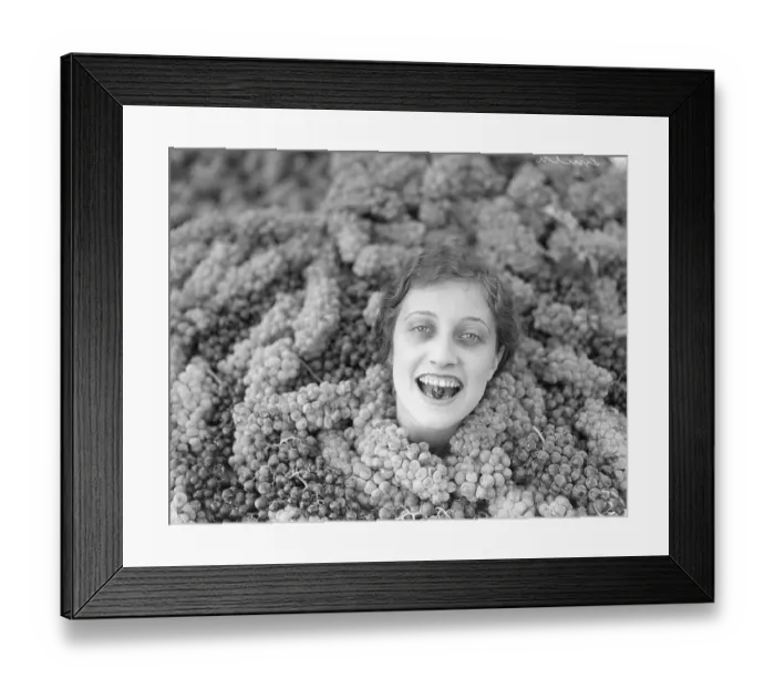 Framed Print : Wilma Smith Buried in Grapes Framed Print : Wilma Smith Buried in Grapes