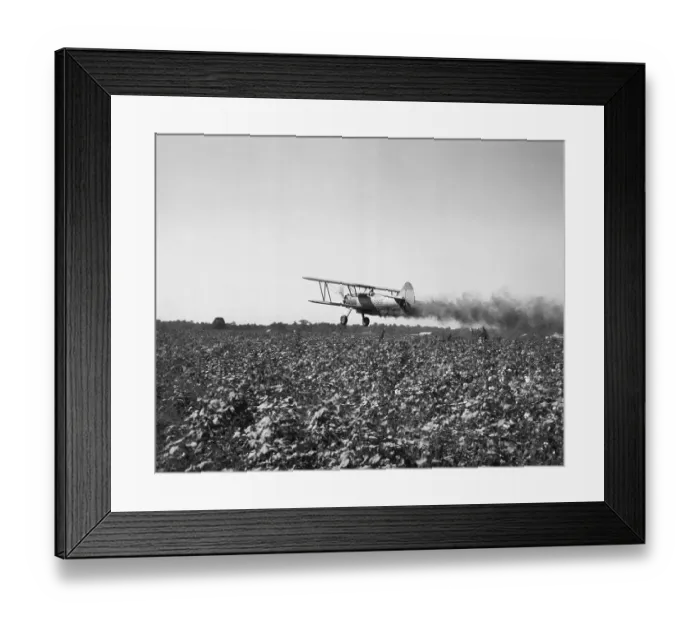 Framed Print : Crop Dusting Plane Flies Over Field Framed Print : Crop Dusting Plane Flies Over Field
