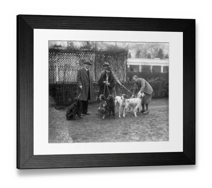 Framed Print : Herbert Hoover Holding Hunting Dog / Leash Framed Print : Herbert Hoover Holding Hunting Dog / Leash
