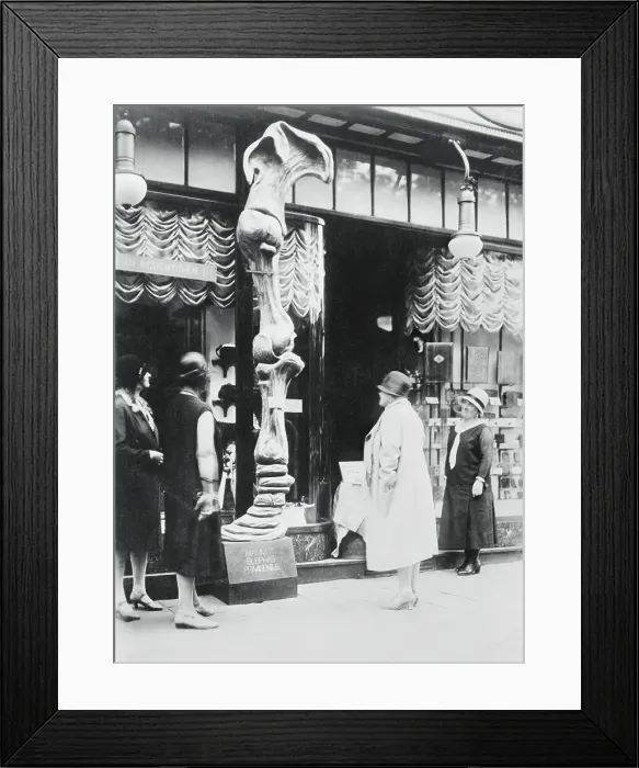 Framed Print : Spectators Noticing Display of Elephant's Hip Bone Framed Print : Spectators Noticing Display of Elephant's Hip Bone