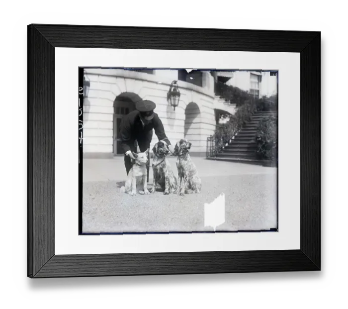 Framed Print : Three Of The White House Pets Framed Print : Three Of The White House Pets