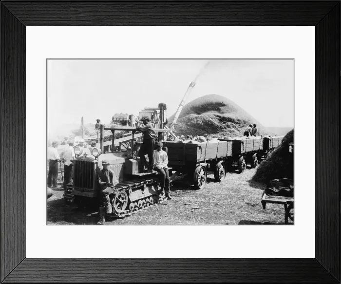 Framed Print : Soviets Loading Grain onto Vehicle Framed Print : Soviets Loading Grain onto Vehicle
