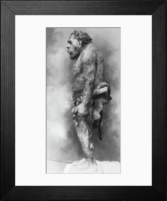 Framed Print : Neanderthal Man Exhibit Framed Print : Neanderthal Man Exhibit