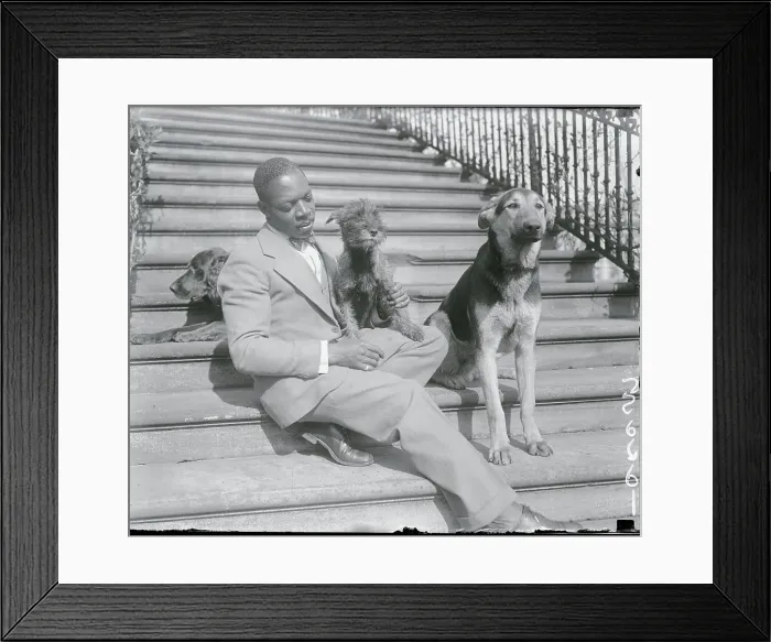 Framed Print : Man and Three Dogs Framed Print : Man and Three Dogs