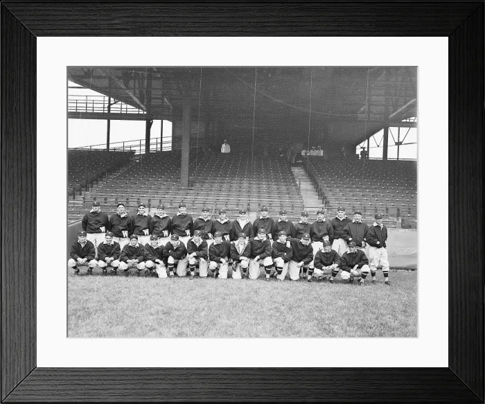 Framed Print : Washington Senators Baseball Team Framed Print : Washington Senators Baseball Team