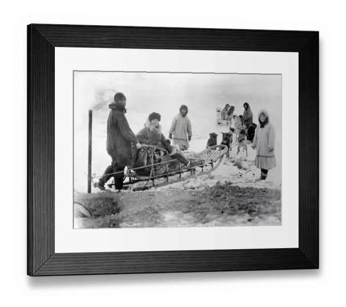 Framed Print : Physician Riding with Dog Sled Team to Treat Small Pox Framed Print : Physician Riding with Dog Sled Team to Treat Small Pox