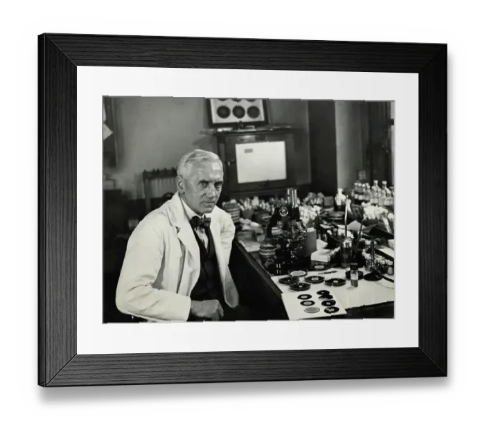 Framed Print : Alexander Fleming Working in Laboratory Framed Print : Alexander Fleming Working in Laboratory