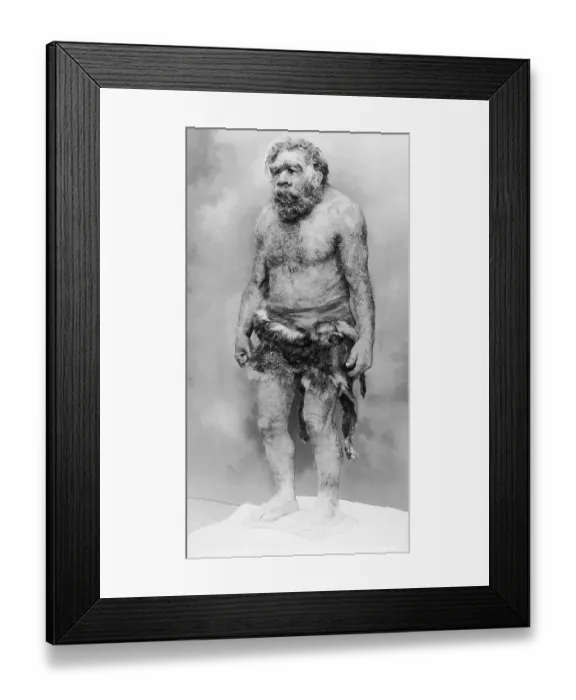 Framed Print : Cave Man. (Original Caption). The cave man has been reproduced Framed Print : Cave Man. (Original Caption). The cave man has been reproduced