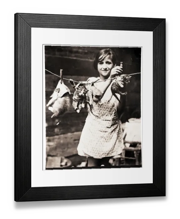 Framed Print : Girl Hanging Kittens on Clothesline