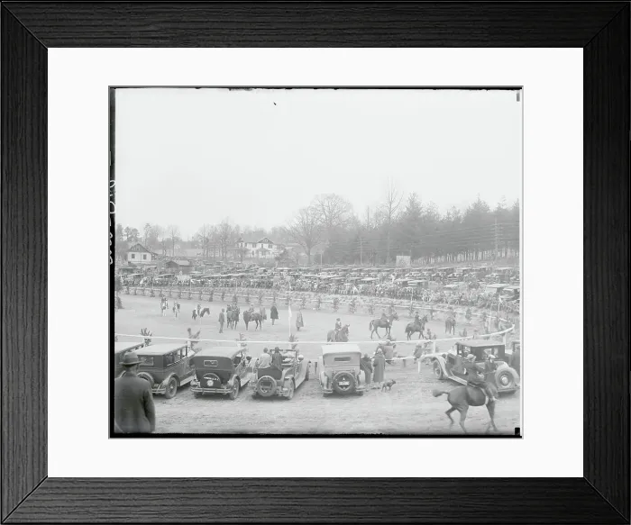 Framed Print : Biltmore Forest Asheville Horse Show Framed Print : Biltmore Forest Asheville Horse Show